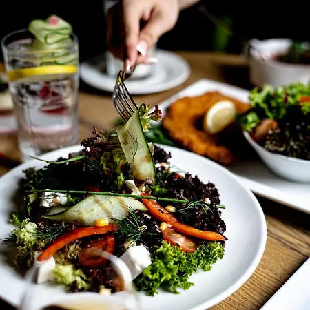 イビス フランクフルト エアポート ホテル